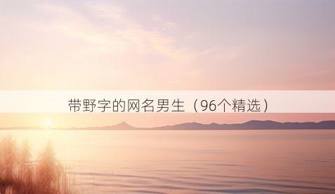 带野字的网名男生有哪些