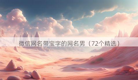 微信网名带宝字的网名男有哪些