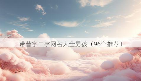 带昔字二字网名大全男孩有哪些