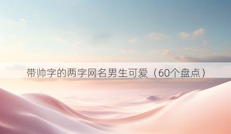 带帅字的两字网名男生可爱有哪些