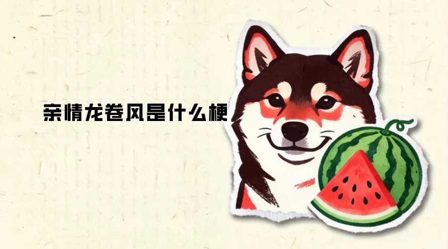 亲情龙卷风是什么梗