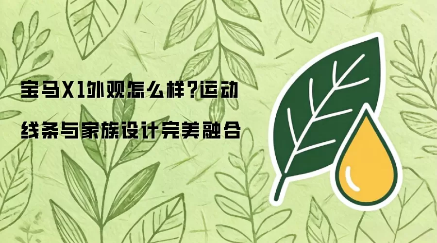 宝马X1外观怎么样?运动线条与家族设计完美融合