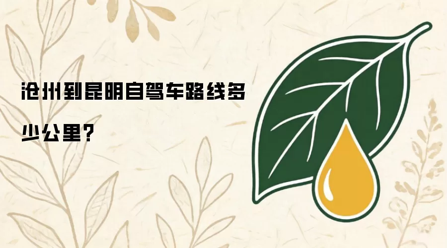 沧州到昆明自驾车路线多少公里？