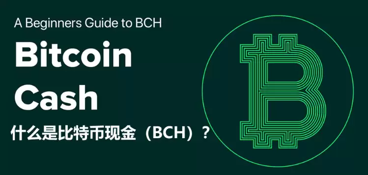 比特币现金BCH值得买吗