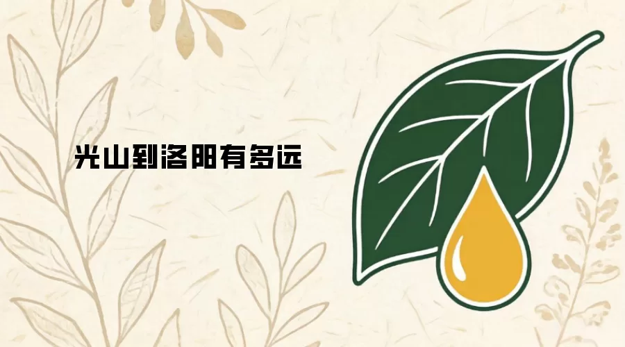 光山到洛阳有多远