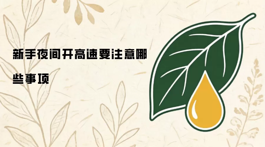 新手夜间开高速要注意哪些事项