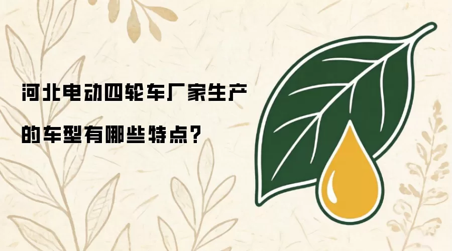 河北电动四轮车厂家生产的车型有哪些特点?