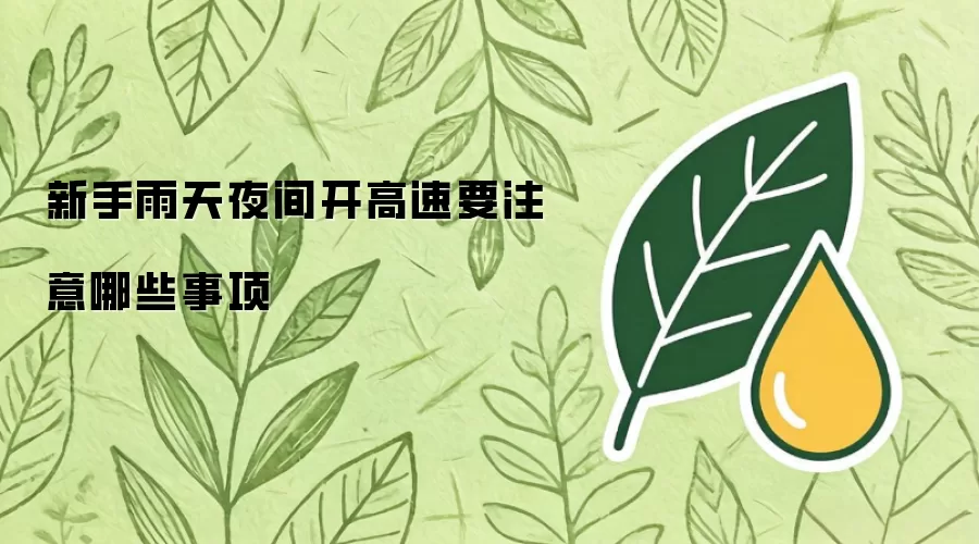 新手雨天夜间开高速要注意哪些事项