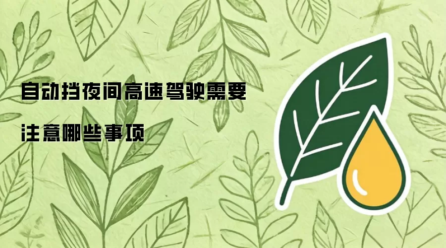 自动挡夜间高速驾驶需要注意哪些事项