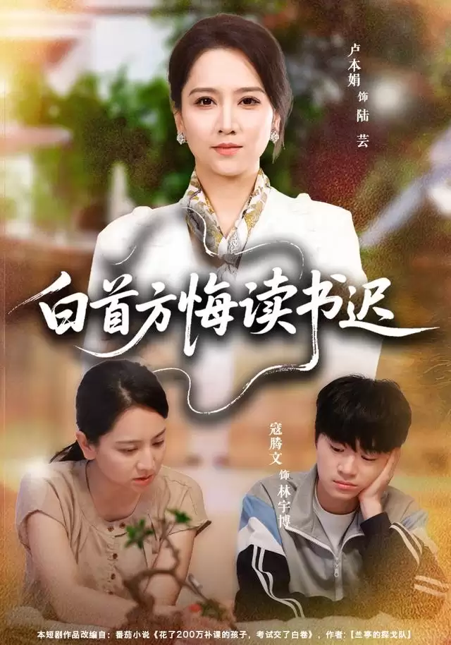 短剧《白首方悔读书迟》剧情介绍