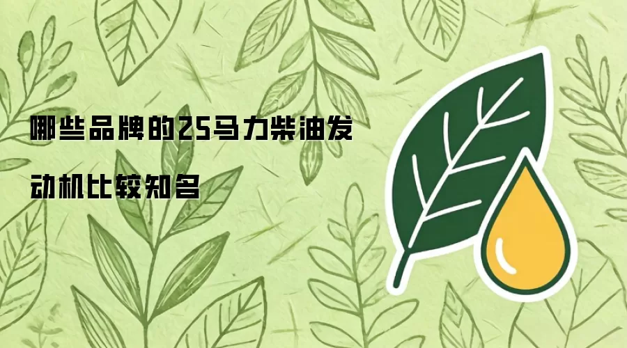 哪些品牌的25马力柴油发动机比较知名