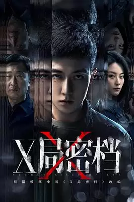电视剧《X局密档》剧情介绍