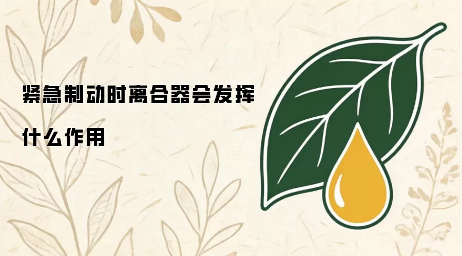 紧急制动时离合器会发挥什么作用