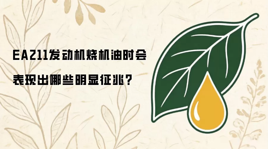 EA211发动机烧机油时会表现出哪些明显征兆？