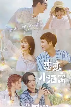 电视剧《恋恋小酒窝》剧情介绍