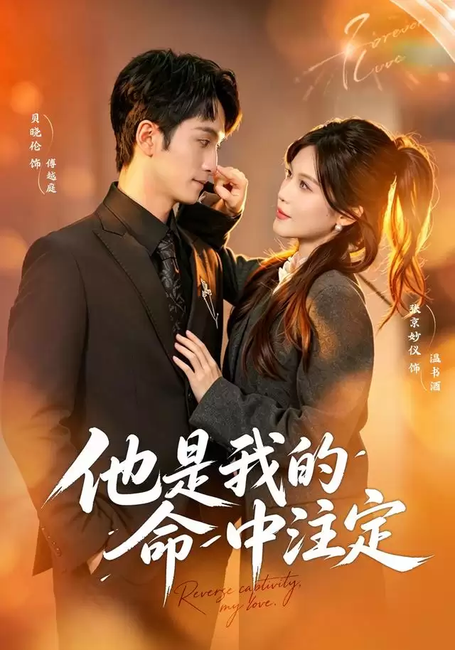 短剧《他是我的命中注定》剧情介绍
