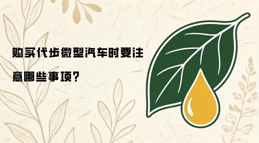 购买代步微型汽车时要注意哪些事项？