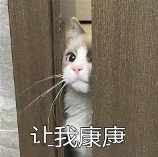 带头给智驾兜底 比亚迪这次真得仰望了
