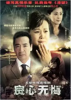 电视剧《良心无悔》剧情介绍