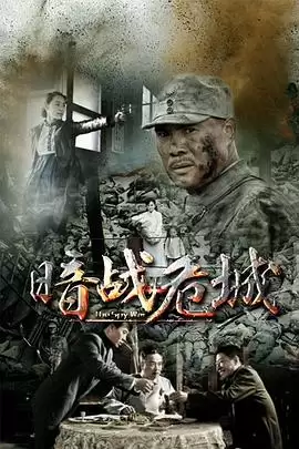 电视剧《暗战危城》剧情介绍