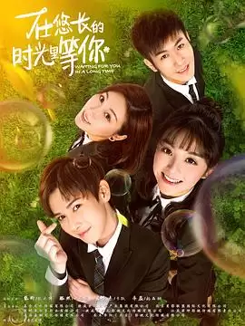 电视剧《在悠长的时光里等你》剧情介绍