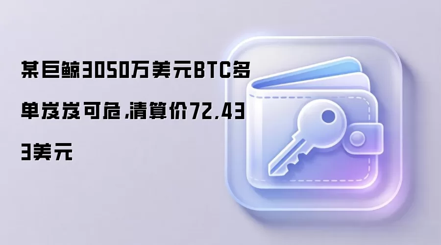 某巨鲸3050万美元BTC多单岌岌可危，清算价72,433美元