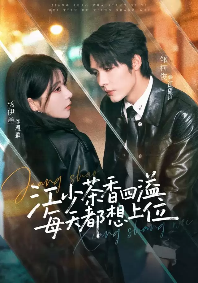短剧《江少茶香四溢，每天都想上位》剧情介绍