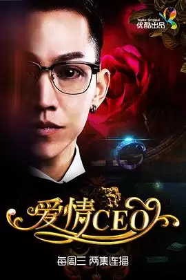 电视剧《爱情CEO》剧情介绍