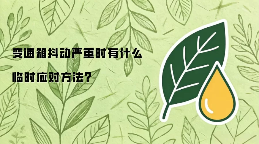 变速箱抖动严重时有什么临时应对方法？