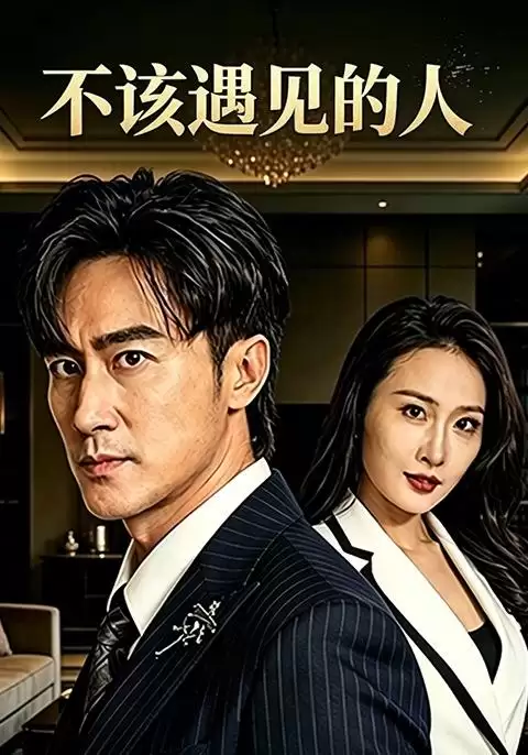 短剧《不该遇见的人》剧情介绍