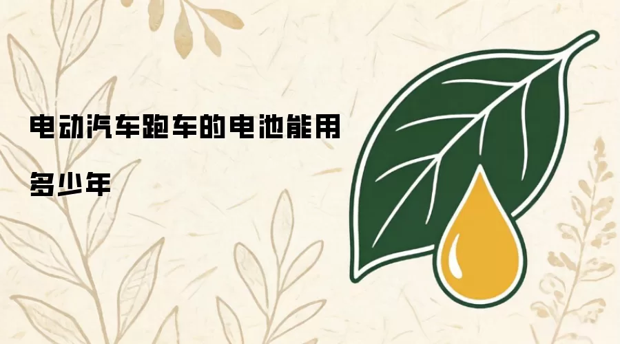 电动汽车跑车的电池能用多少年