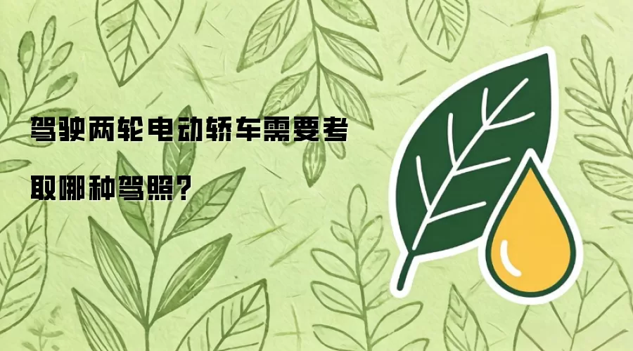 驾驶两轮电动轿车需要考取哪种驾照？