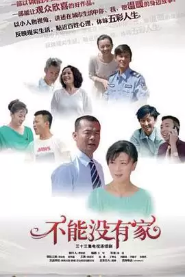 电视剧《不能没有家》剧情介绍