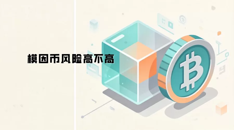 模因币风险高不高