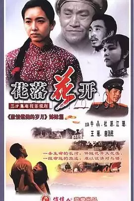 电视剧《花落花开1995》剧情介绍