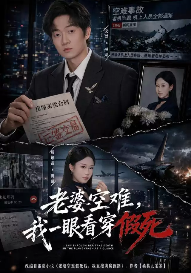 短剧《老婆空难，我一眼看穿假死》剧情介绍