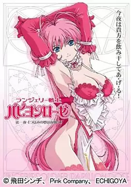 动漫《内衣战士玫瑰蝴蝶OVA》剧情介绍