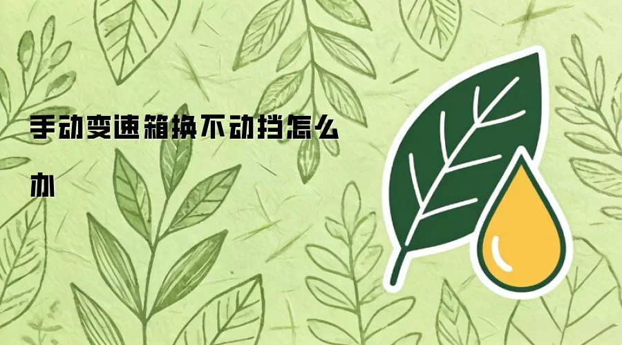 手动变速箱换不动挡怎么办