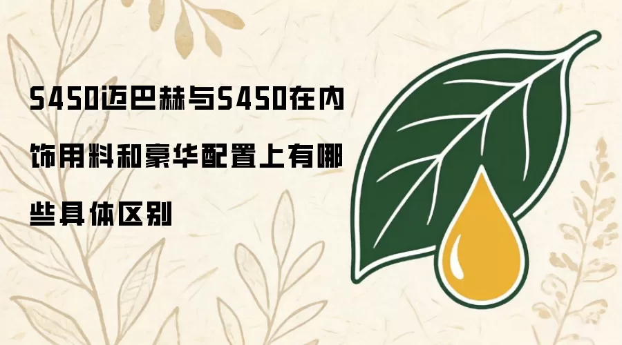 S450迈巴赫与S450在内饰用料和豪华配置上有哪些具体区别