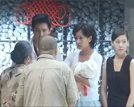 电视剧《浴火凤凰》剧情介绍