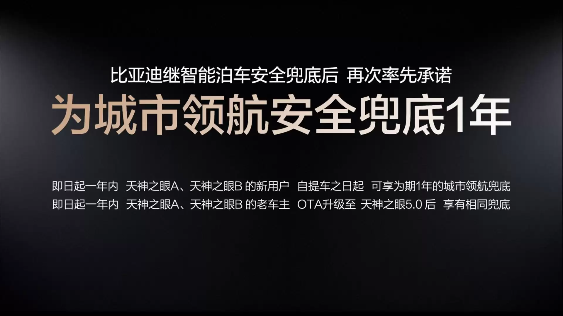 当比亚迪开始往更深处走