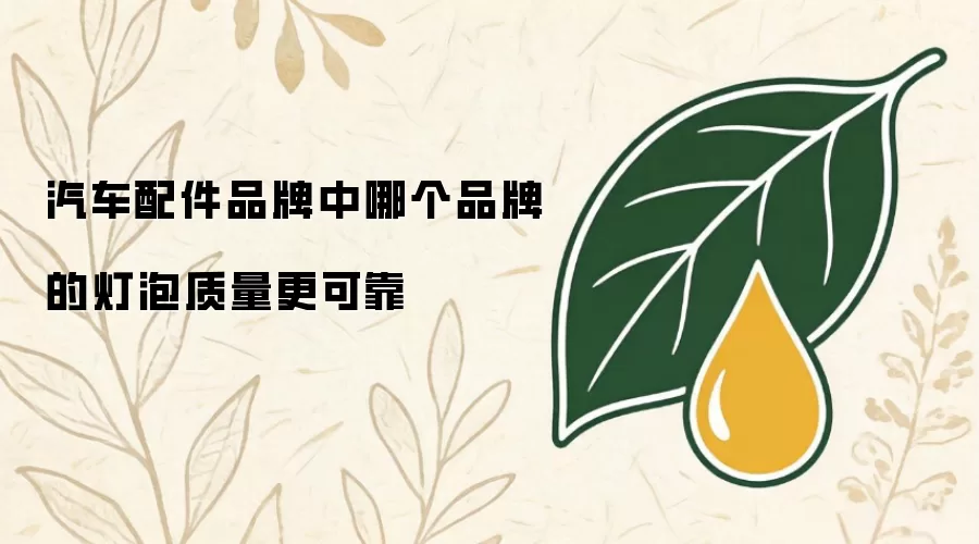 汽车配件品牌中哪个品牌的灯泡质量更可靠