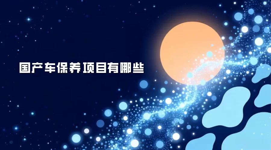 国产车保养项目有哪些