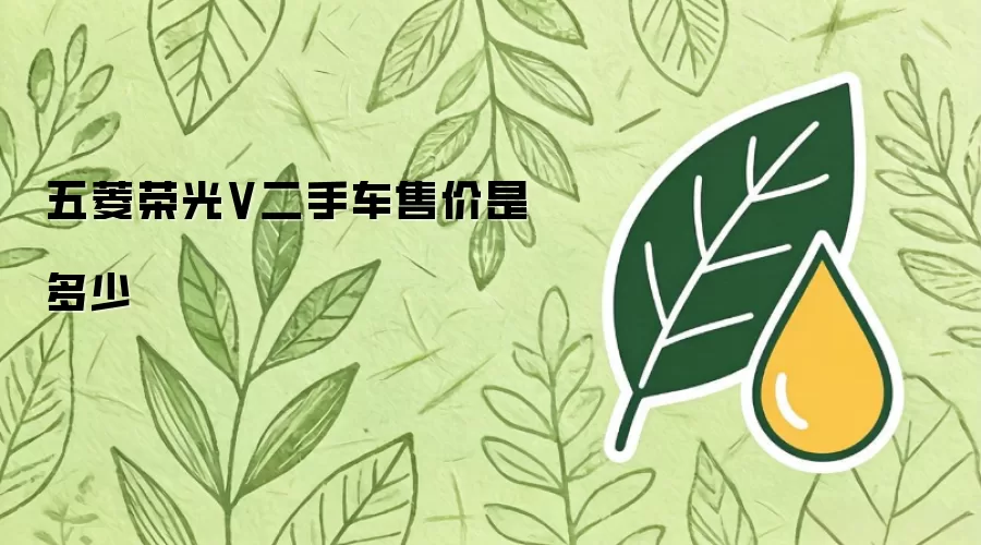 五菱荣光V二手车售价是多少