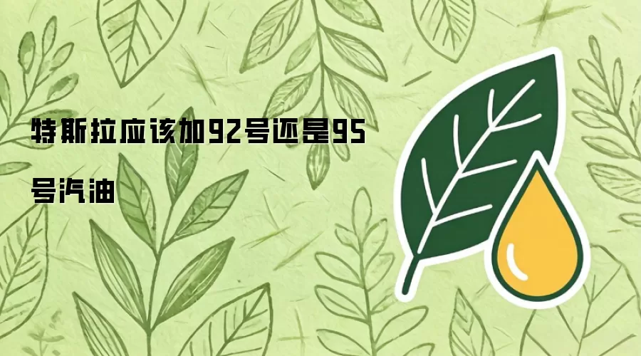 特斯拉应该加92号还是95号汽油