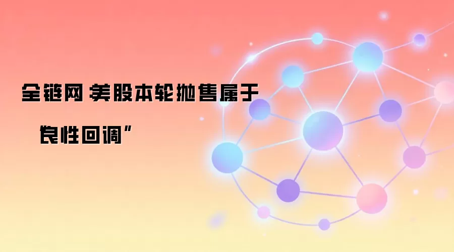 全链网：美股本轮抛售属于 “良性回调”