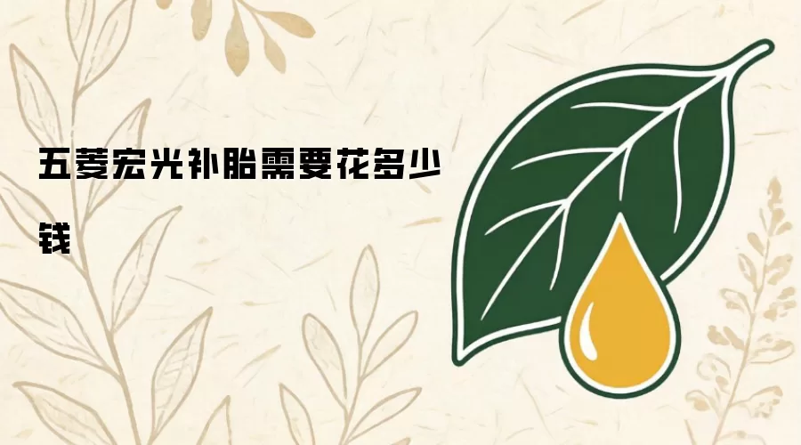 五菱宏光补胎需要花多少钱