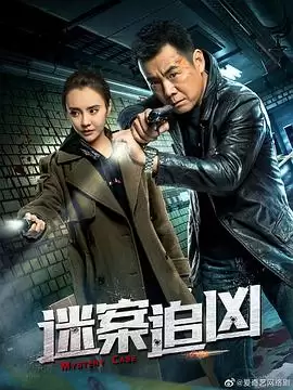 电视剧《迷案追凶》剧情介绍