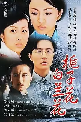 电视剧《栀子花白兰花》剧情介绍