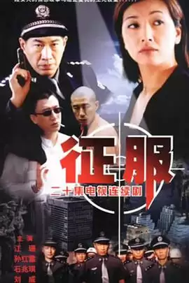 电视剧《征服2003》剧情介绍